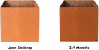 Corten Steel Planter Box Metal Planters Square Outdoor Steel Planter Cube Rustic Flower Pot 16 Inch for Commercial Residential Garden Patio and Backyard