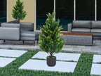 3ft tall artificial cedar topiary trees set of, front angle view