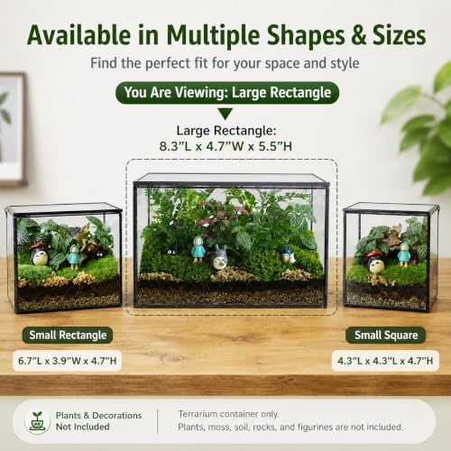 glass plant terrarium with lid, rectangular black metal, close-up detail