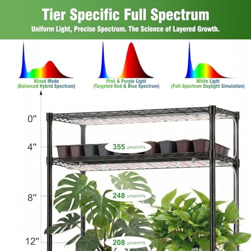 indoor greenhouse with grow light - 5 tier on a desk or shelf