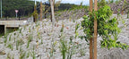 jute erosion control, soil saver mesh blanket, front angle view