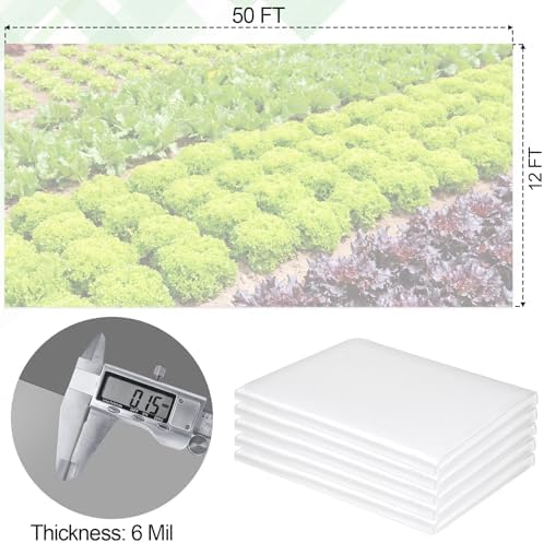 50 ft clear greenhouse plastic sheeting, 6 mil shown in use