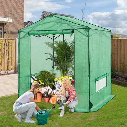 6x6 pop up greenhouse,portable green house kit, green showing dimensions