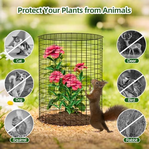 specilite 10 pack plant protector from animals, 14"x14" showing dimensions