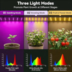 mini greenhouse with grow light, timer & hygrothermograph showing dimensions