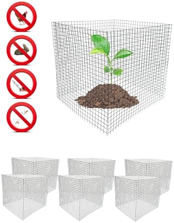 6 new small wire plant protectors, 12" square shown in use