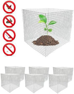 6 new small wire plant protectors, 12" square shown in use
