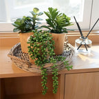 artificial succulents plastic artificial green plant for office shown in use