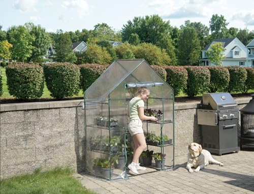 miracle-gro walk-in greenhouse, removable shelves, transparent, 4'8"x29", view 15