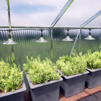outdoor led grow light, waterproof string plant growing on a desk or shelf