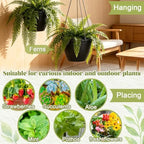 roshtia 24 pcs 6.3 inch plastic hanging pots on a desk or shelf