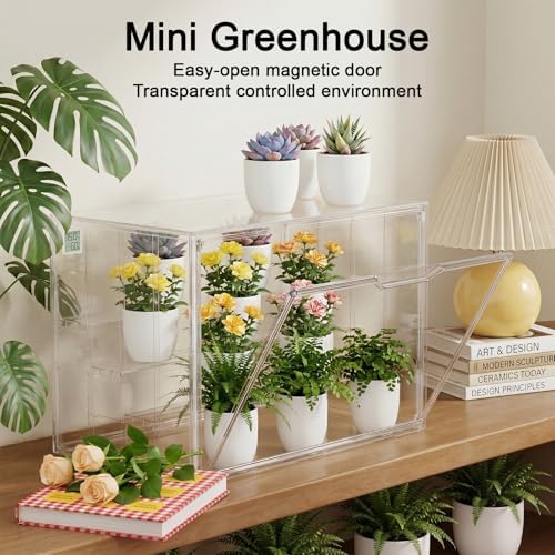 clear mini indoor greenhouse, with hygrometer and grow, close-up detail