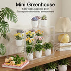 clear mini indoor greenhouse, with hygrometer and grow, close-up detail