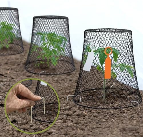 9.13"×9.13" chicken wire cloche plant covers garden netting on a desk or shelf