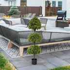 the bloom times 55" tall artificial boxwood triple, front angle view