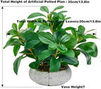 k&y realistic artificial potted plants olive wild fern, close-up detail