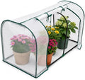 portable mini greenhouse, 55x32x28 inches pe cover with, main product view