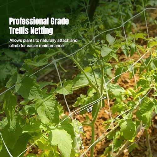 4-feet by 4920-feet professional grade vegetable support trellis shown in use