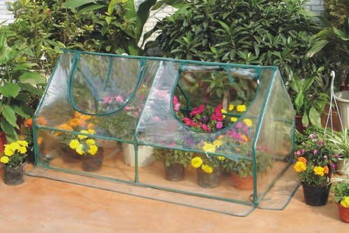 garden cold frame greenhouse cloche shown in use