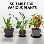 9 Pack Black Plant Pot Saucers, 8 10 12 Inch Heavy Duty PP Trays | Plant Watering Trays for Indoor & Outdoor Flower Pots