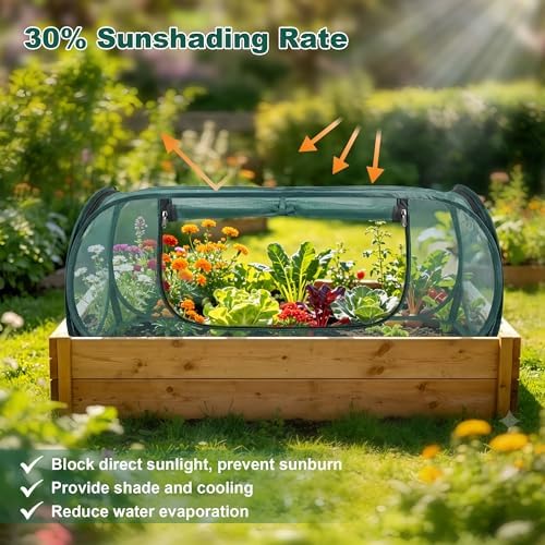 pop-up mesh plant enclosure, plant cover for vegetables, side view
