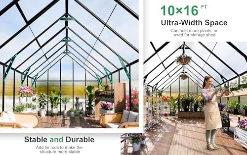 cdcasa 16x10x10 ft polycarbonate greenhouse for outdoors w/3 showing dimensions