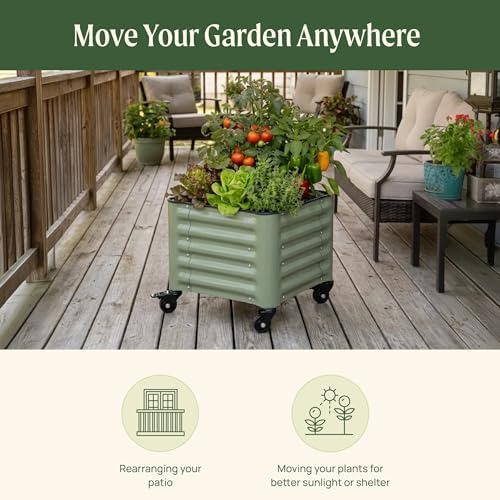 vego garden classic rolling citrus tree planter –, close-up detail