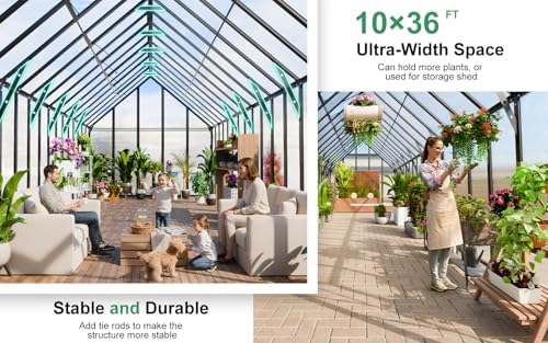 cdcasa 10x36 ft greenhouse for outdoors, massive easy, side view