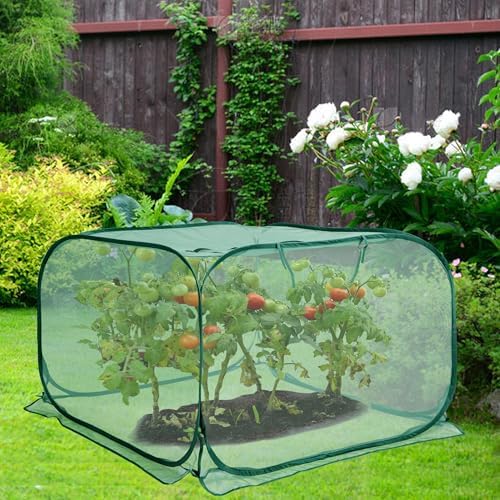 pop up mesh plant cover, 35" x 35" on a desk or shelf