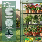 sweetcrispy 27"x19"x63" mini greenhouse, with zipper door durable, package contents
