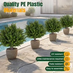 24.5 inch set of 2 topiary cedar trees, side view