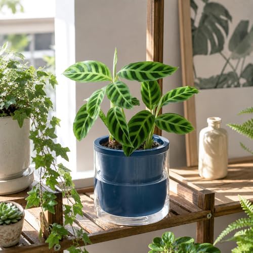 d'vine dev self-watering blue terracotta planter, 6 in, package contents