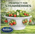 ultimate hanging baskets - strawberry, tomato, flower, and, close-up detail