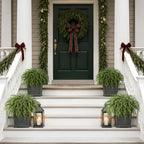 artificial christmas cedar topiary ball tree for front, side view