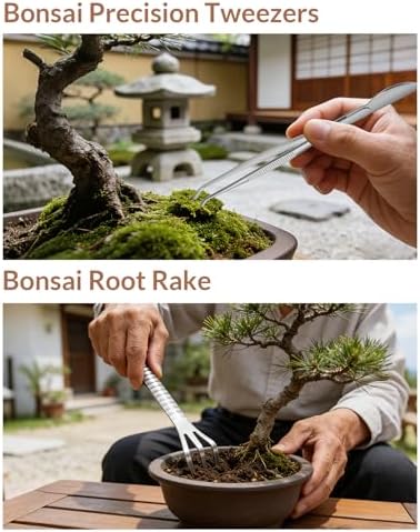bonsai tool set 6pcs in an wood gift, package contents