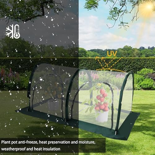 portable tunnel greenhouse for outdoors - transparent mini showing dimensions