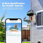 harymor smart bird feeder with camera - ai shown in use