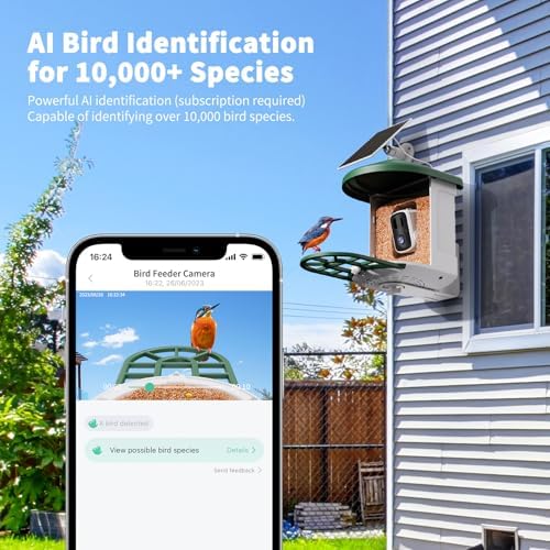 harymor smart bird feeder with camera - ai shown in use