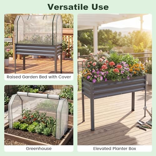 giantex raised garden bed with legs & greenhouse shown in use