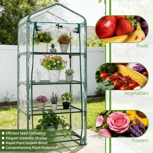 mini greenhouse for indoor outdoor, small plants green, package contents