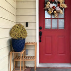24" artificial boxwood fall topiary trees, faux plants, view 9