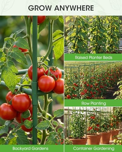 tomato cages,square tomato plant stakes support cages trellis on a desk or shelf