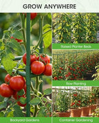 tomato cages,square tomato plant stakes support cages trellis on a desk or shelf