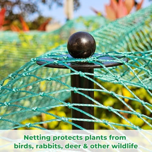 72 inch garden stake netting support, black heavy shown in use