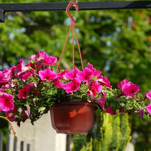 auear, 50 pack plastic hanging plant pots containers, package contents