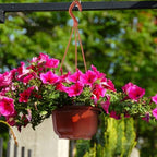 auear, 50 pack plastic hanging plant pots containers, package contents