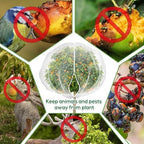 large 7.8 x 7.8ft fruit tree netting cover, side view