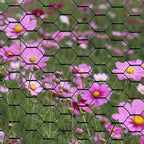 pvc hexagonal poultry netting chicken wire 12" x150' on a desk or shelf