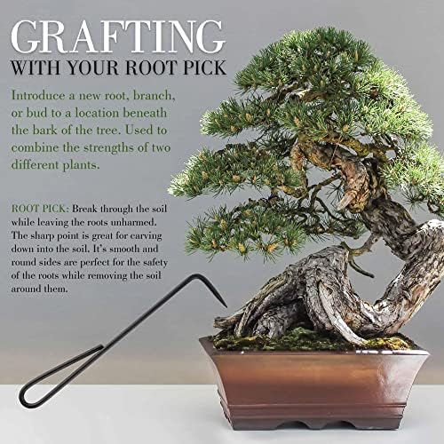 bamboomn 10pc bonsai set, shears, concave cutter, knob, package contents