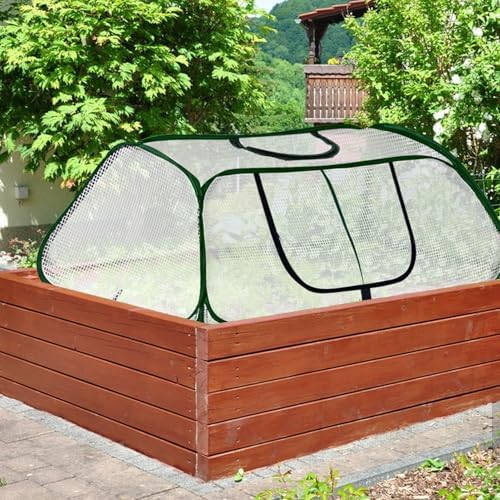garden rows accelerator plants cover-garden greenhouse with roll-up on a desk or shelf
